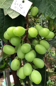IMG_1855.jpg