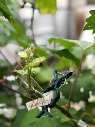 IMG_9187.jpg