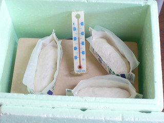 P1030053s.jpg