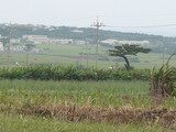 P1030099s.jpg