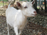 P1030156s.jpg