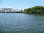 8072782s.jpg