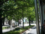8072799s.jpg