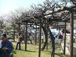 P1010348s.jpg