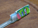 P1020423s.jpg