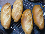 8032533s.jpg